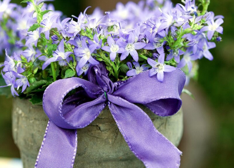 Purple flowers with ribbon