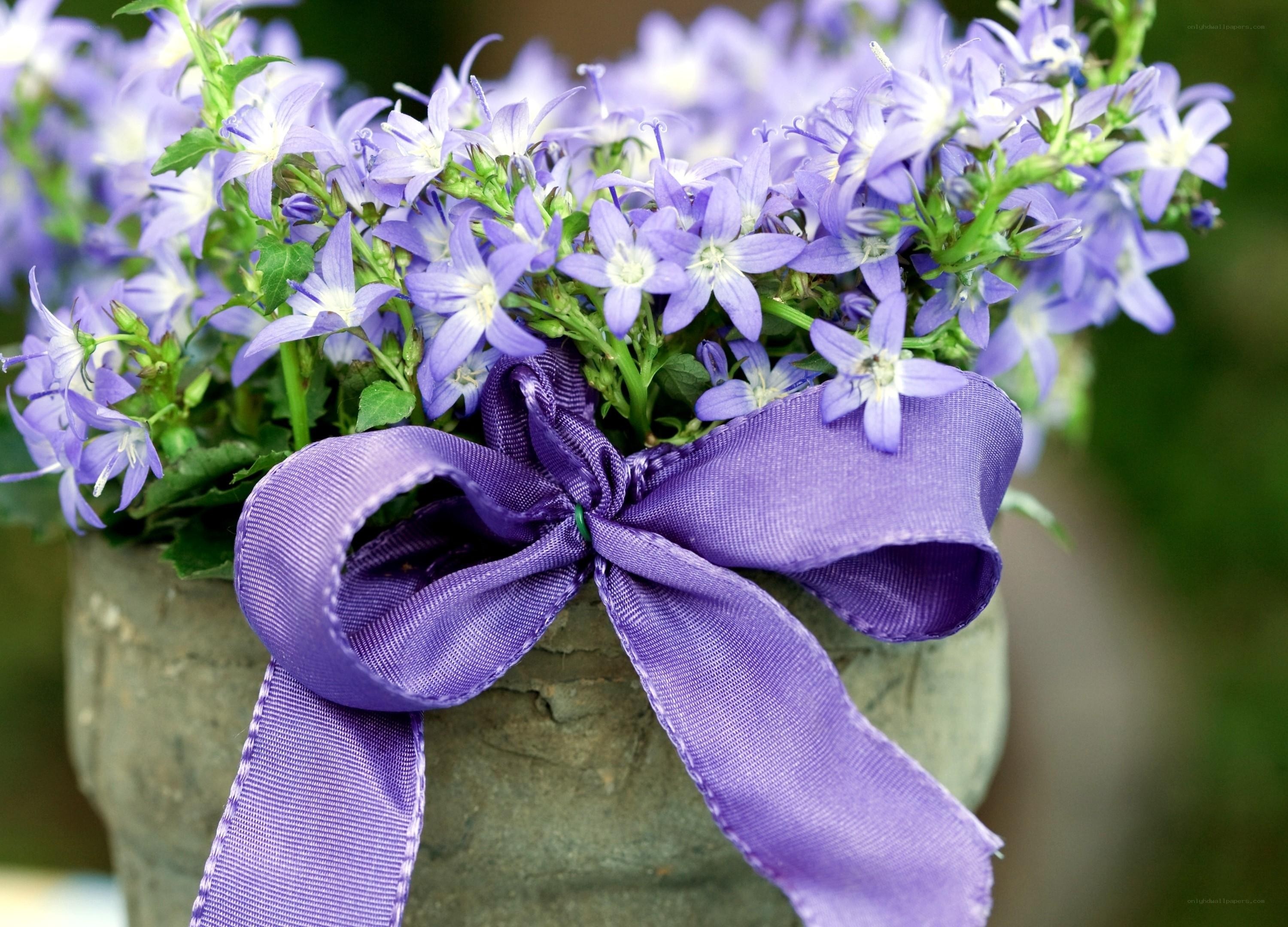 Purple flowers with ribbon