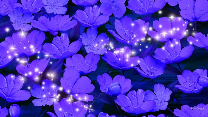 Purple Flowers with Sparkles — Dreamy