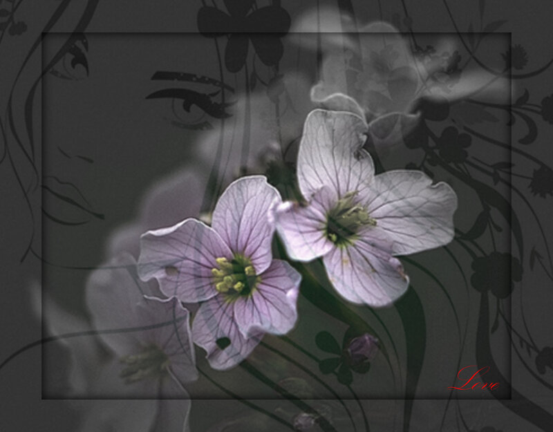 Purple Flowers with Stems