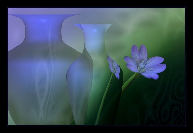 Purple flowers with vases