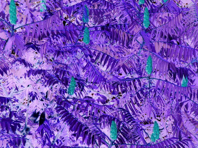 Purple foliage pattern