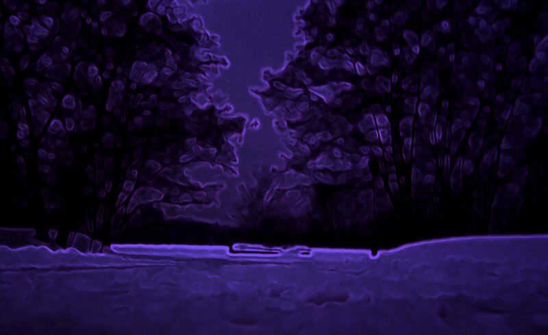 purple forest at night