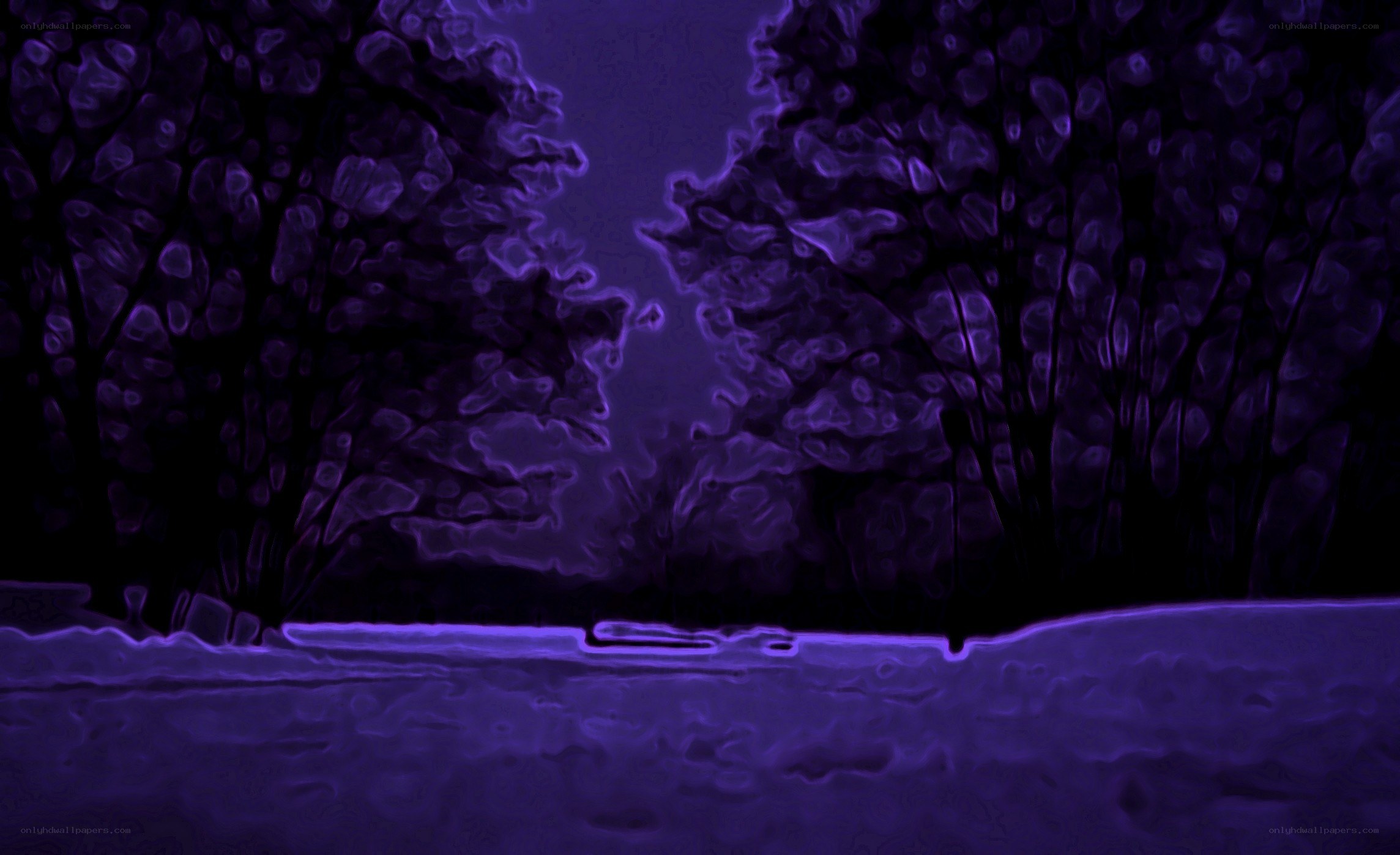 purple forest at night
