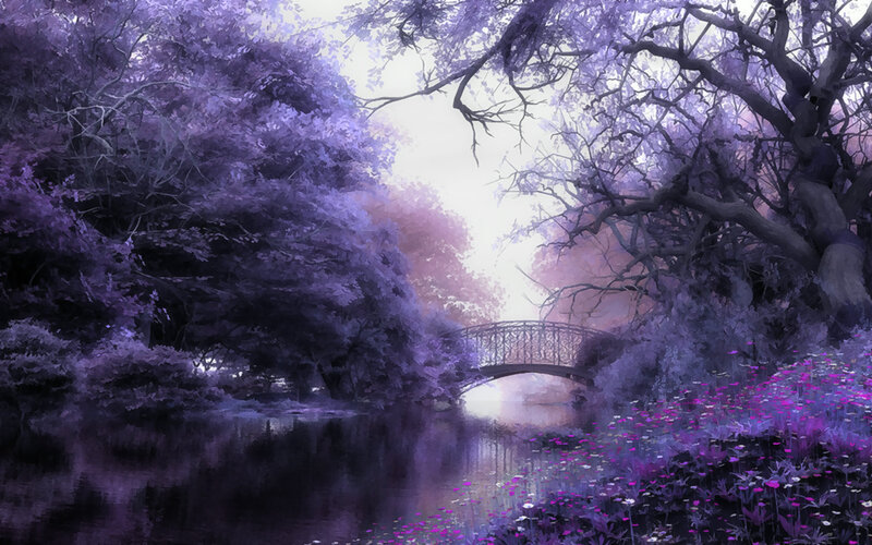 Purple Forest Landscape — Serene
