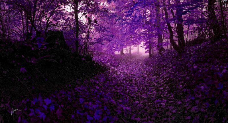 Purple Forest Path — Mysterious, Digital Art
