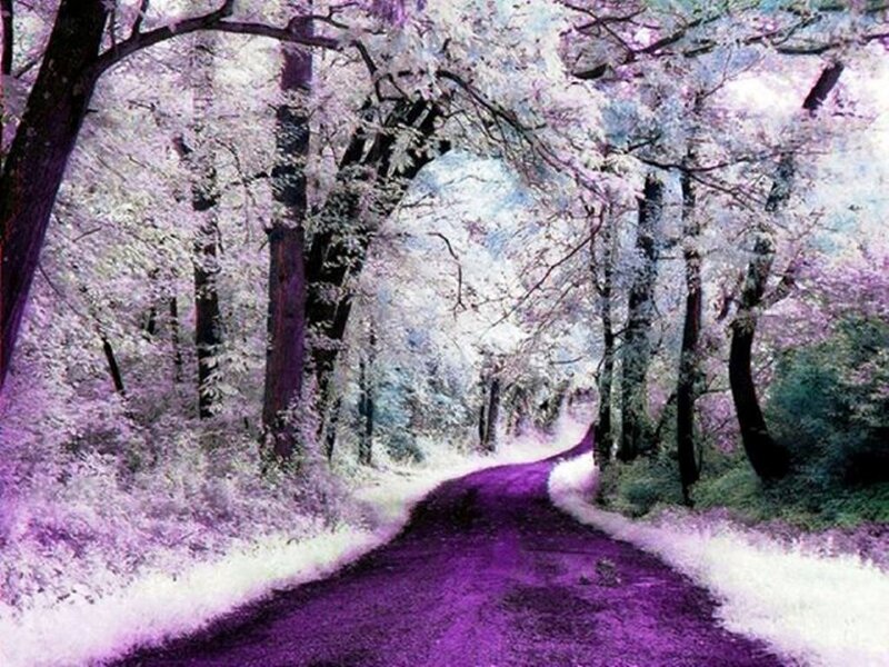 Purple Forest Path — Serene, Digital Art