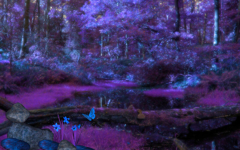 Purple Forest Pond