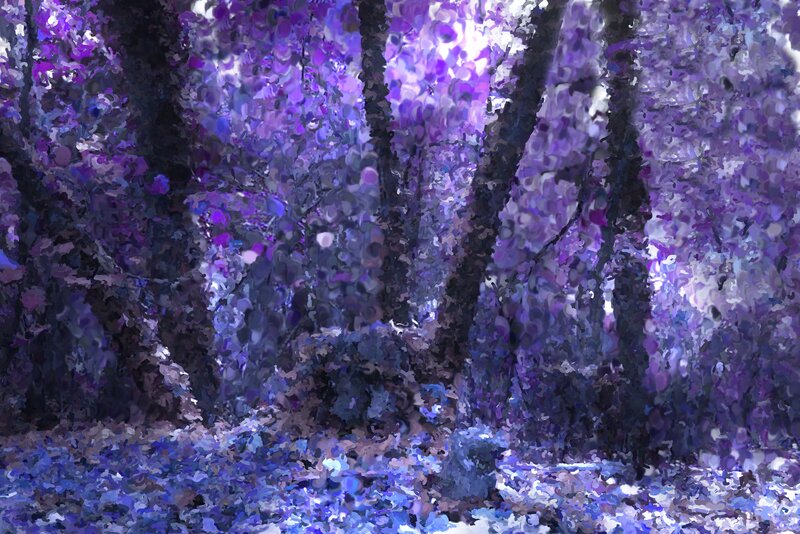 Purple Forest Scene — Dreamy
