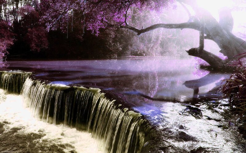 Purple Forest Waterfall Scene