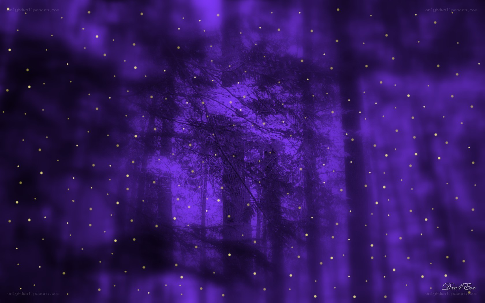 purple forest with glowing lights