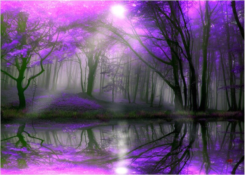 Purple Forest with Pond