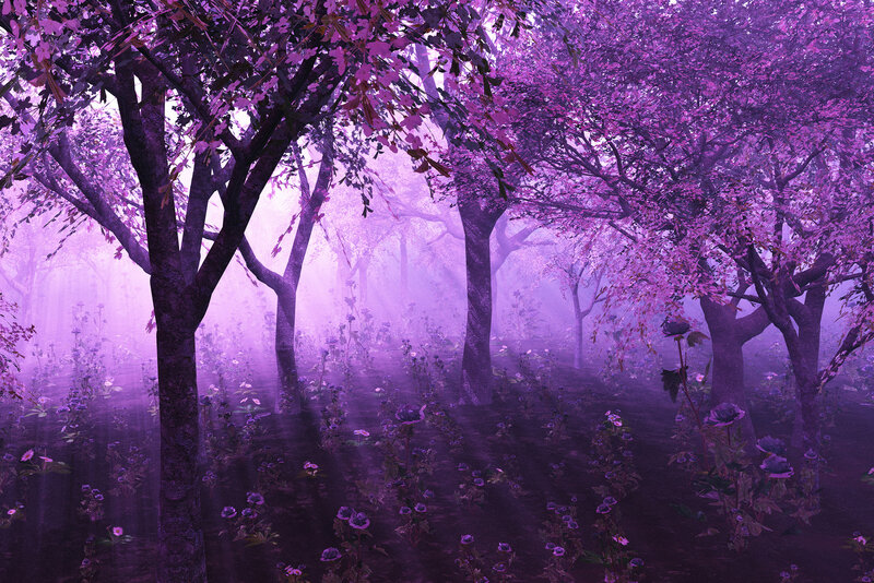 Purple Forest with Trees