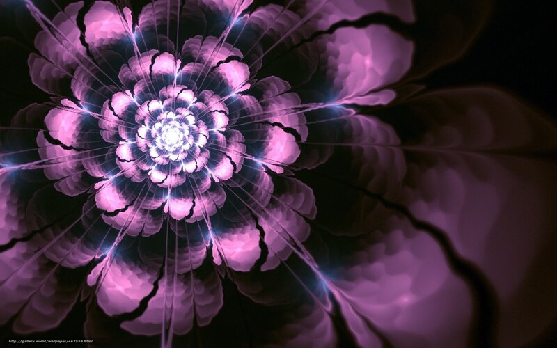 Purple fractal flower