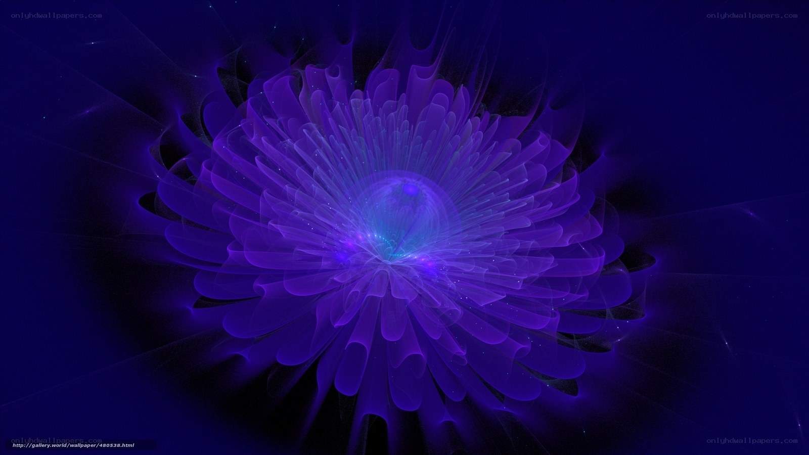 Purple fractal flower