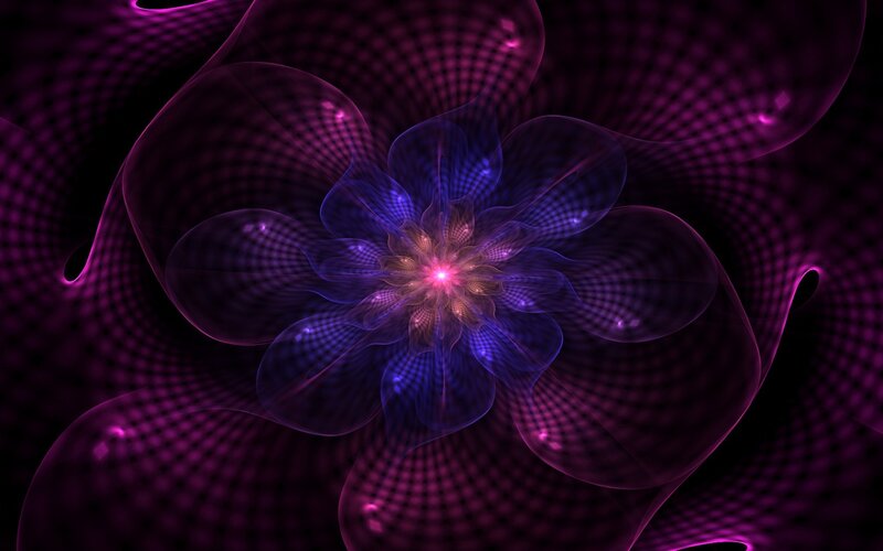 purple fractal flower