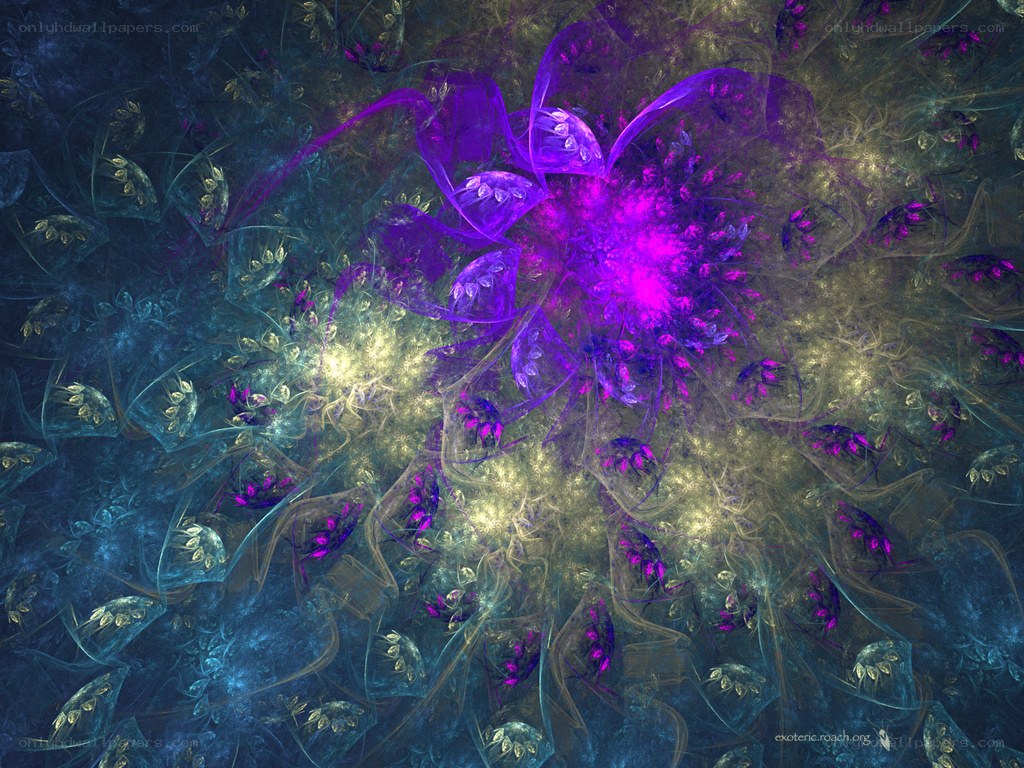 purple fractal flower bloom