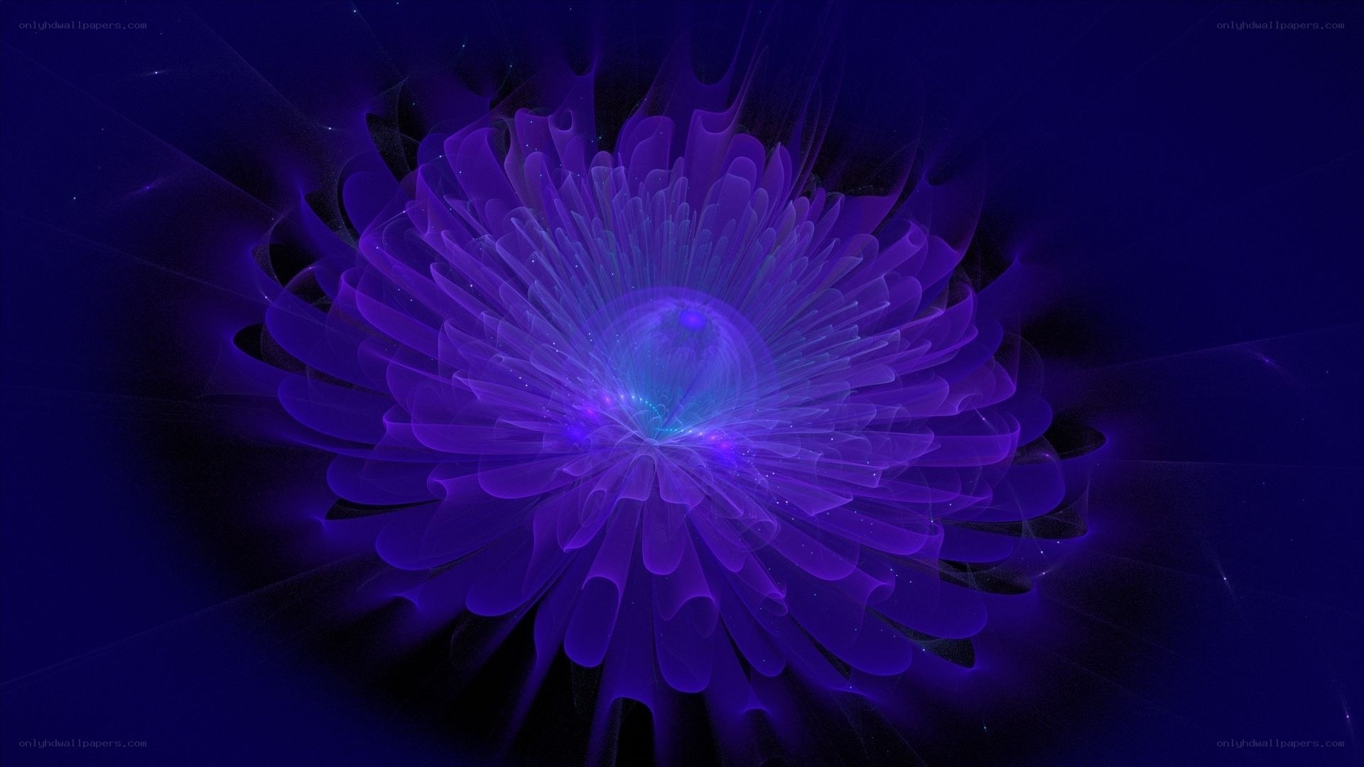 purple fractal flower bloom