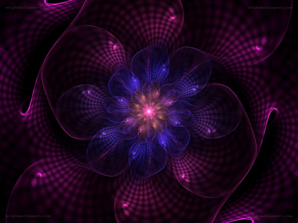 Purple fractal flower design