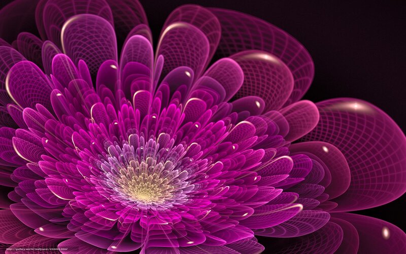 Purple Fractal Flower — Dramatic, Digital Art, Petals, Center, Grid Pattern