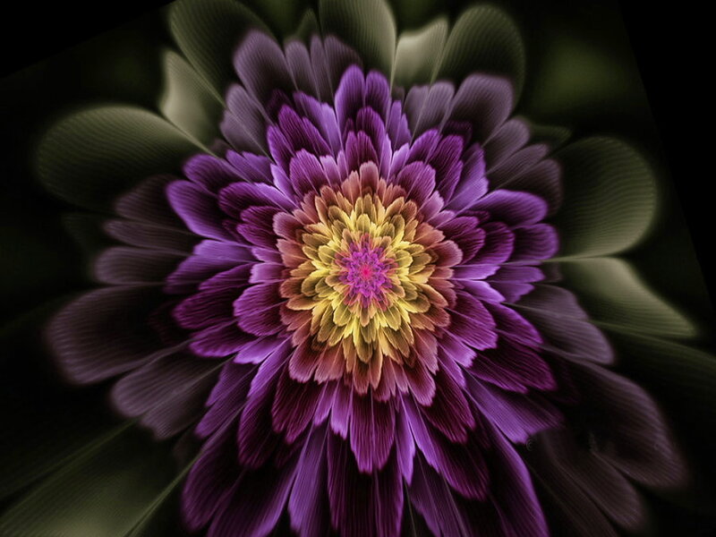 Purple Fractal Flower — Dramatic, Digital Art, Petals