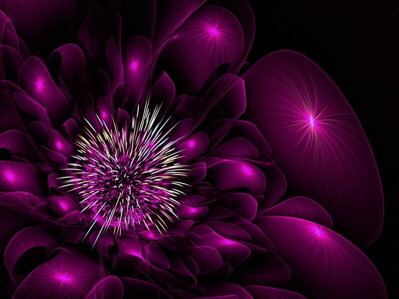 Purple Fractal Flower — Dramatic, Digital Art
