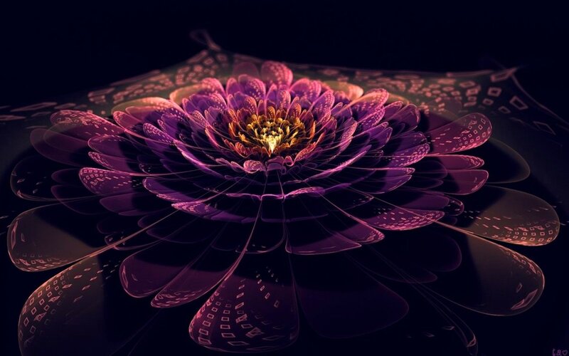 Purple Fractal Flower — Dramatic, Night