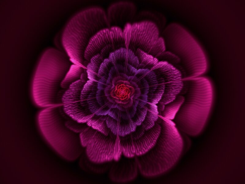 Purple Fractal Flower — Dramatic
