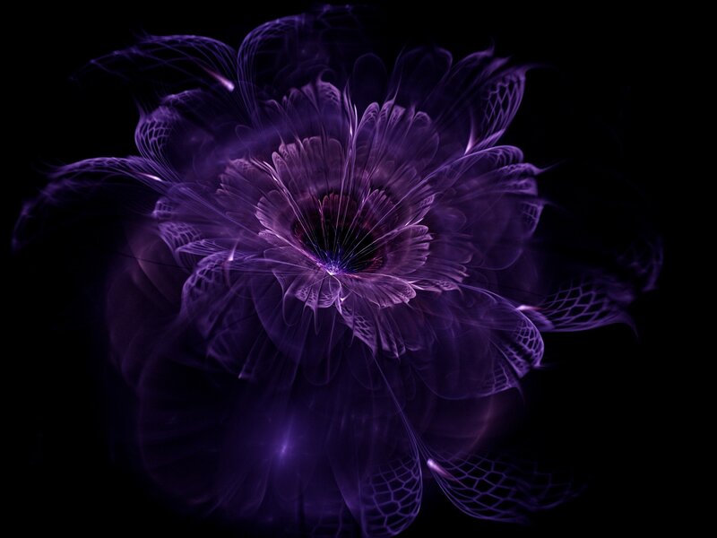 Purple Fractal Flower — Ethereal, Digital Art, Dark Background