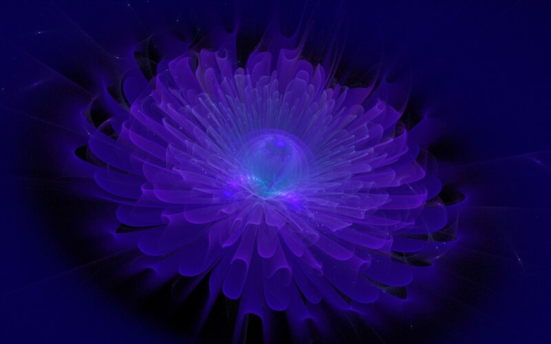 Purple Fractal Flower — Ethereal, Digital Art, Light, Petals