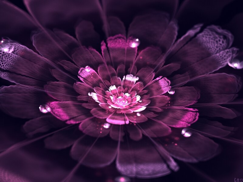 Purple Fractal Flower — Ethereal, Digital Art, Petals, Drops