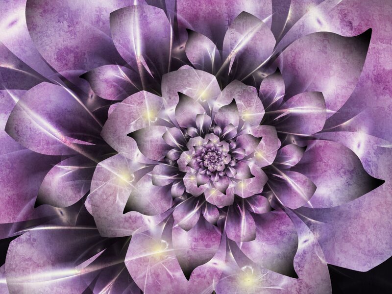 Purple Fractal Flower — Ethereal, Digital Art, Petals, Light Rays