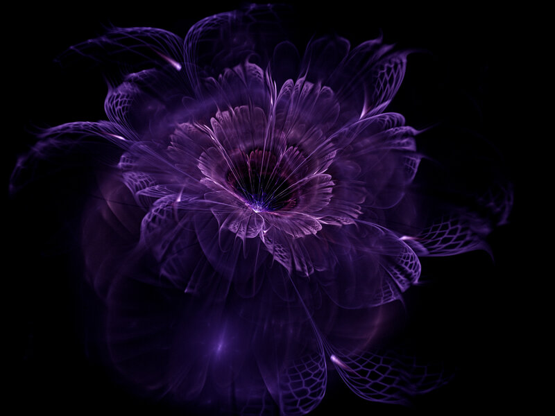 Purple Fractal Flower — Ethereal, Night