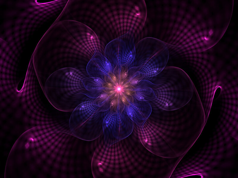 Purple Fractal Flower — Hypnotic, Digital Art, Light, Pattern
