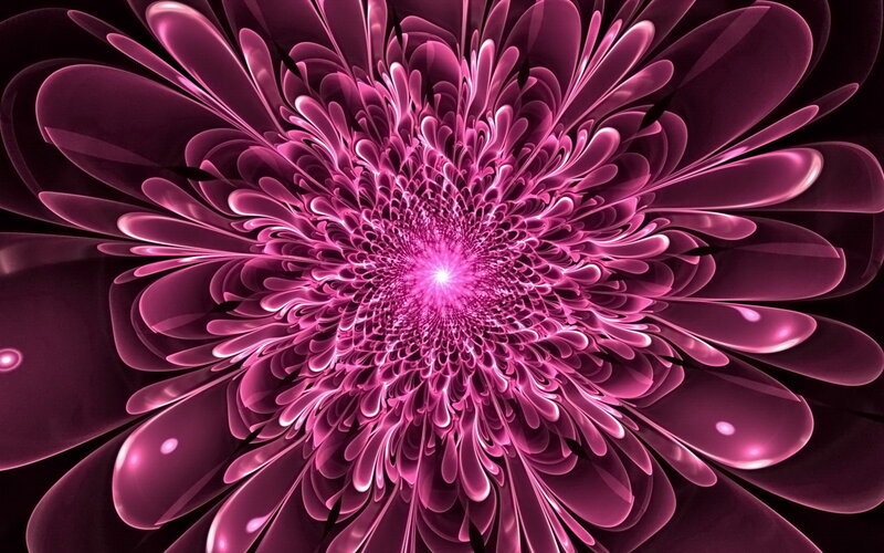 Purple Fractal Flower — Hypnotic, Digital Art, Petals, Center