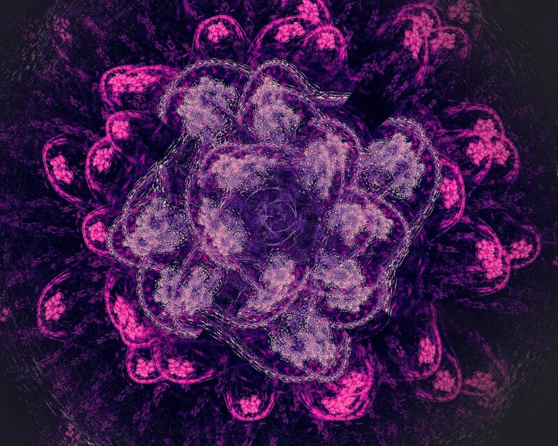 Purple Fractal Flower — Hypnotic, Digital Art, Petals, Pink