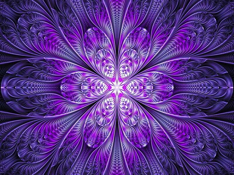Purple Fractal Flower — Hypnotic, Digital Art, Symmetry