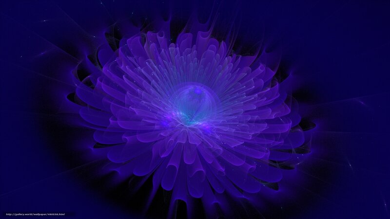 Purple Fractal Flower — Mystical, Night, Digital Art, Light