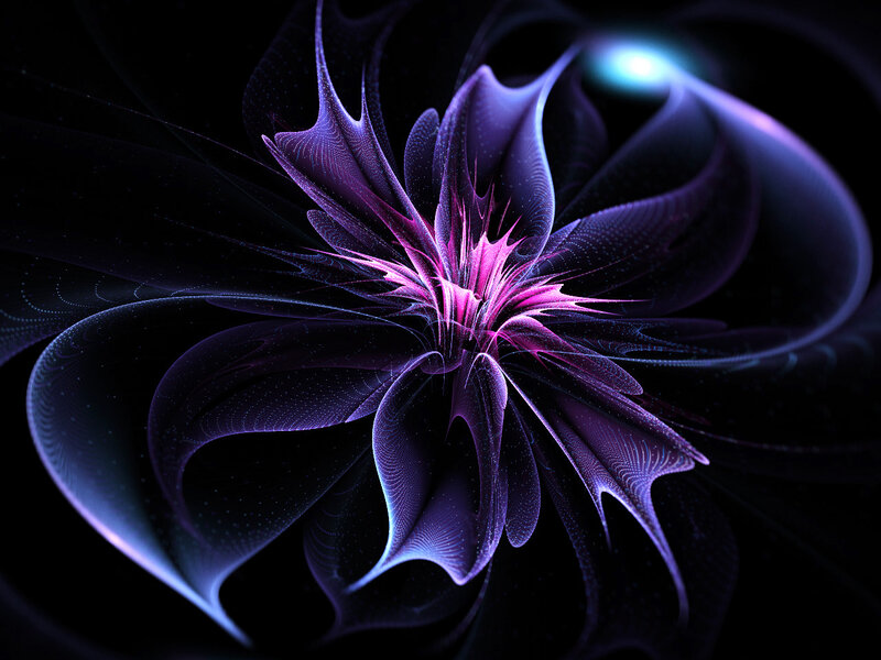 Purple Fractal Flower — Mystical, Night