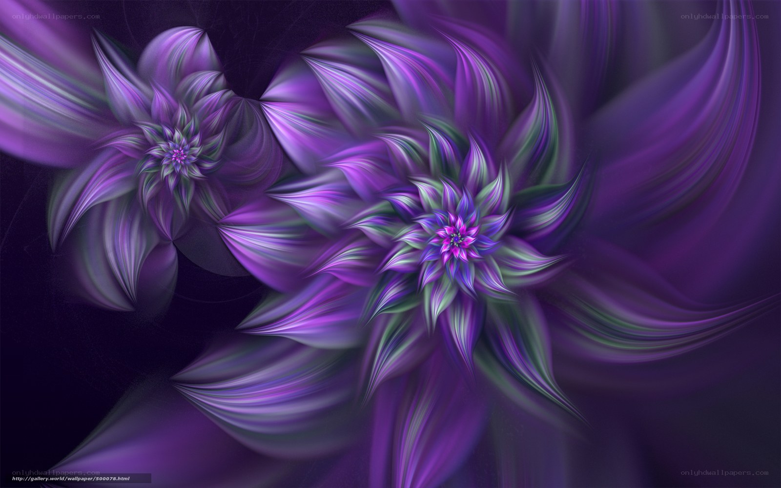 Purple fractal flower patterns