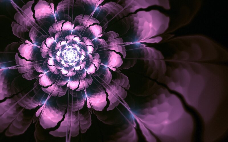 purple fractal flower