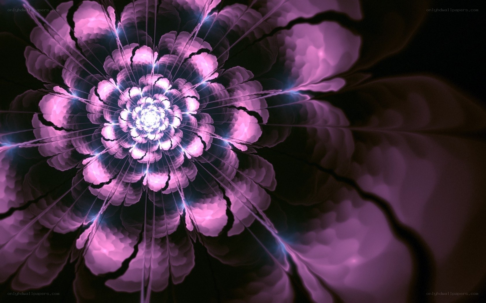 purple fractal flower