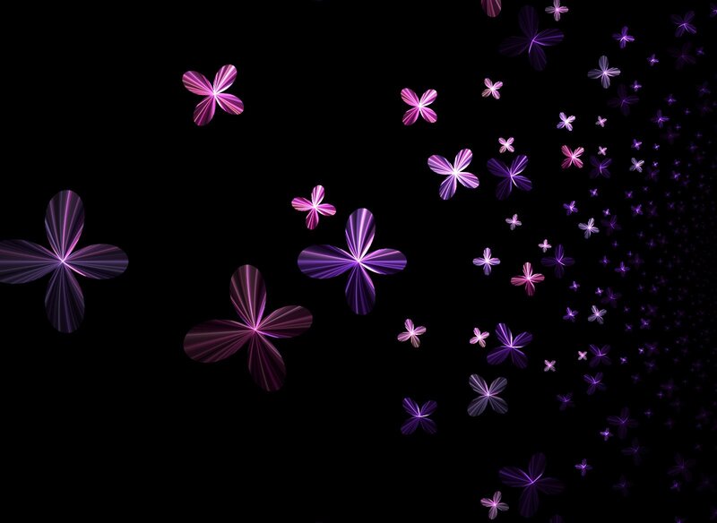 Purple fractal flowers on black