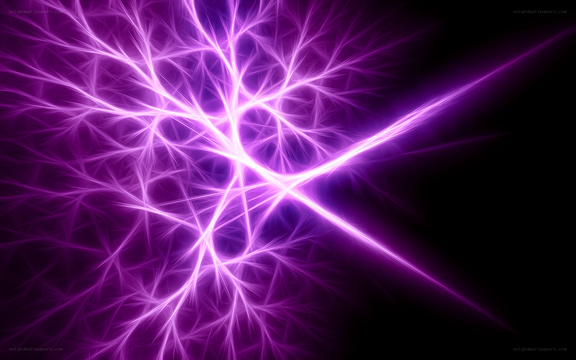 purple fractal light network
