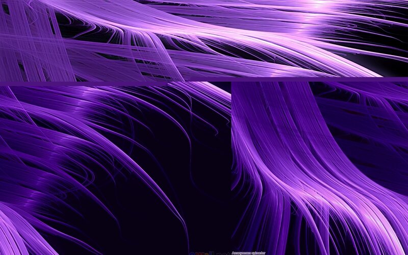 Purple Fractal Lines — Dynamic
