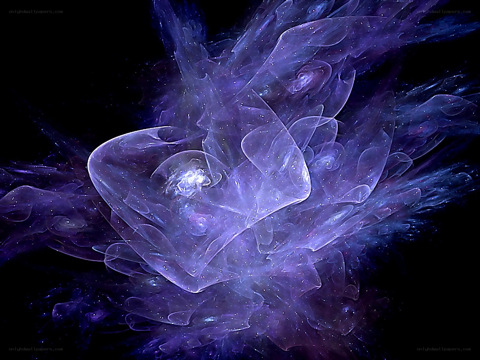 Purple fractal nebula explosion