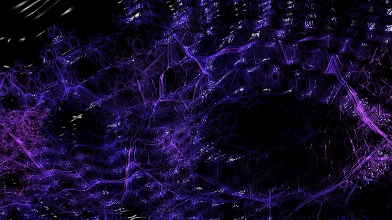 Purple Fractal Network