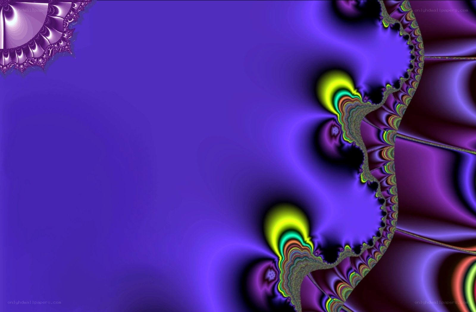 purple fractal pattern