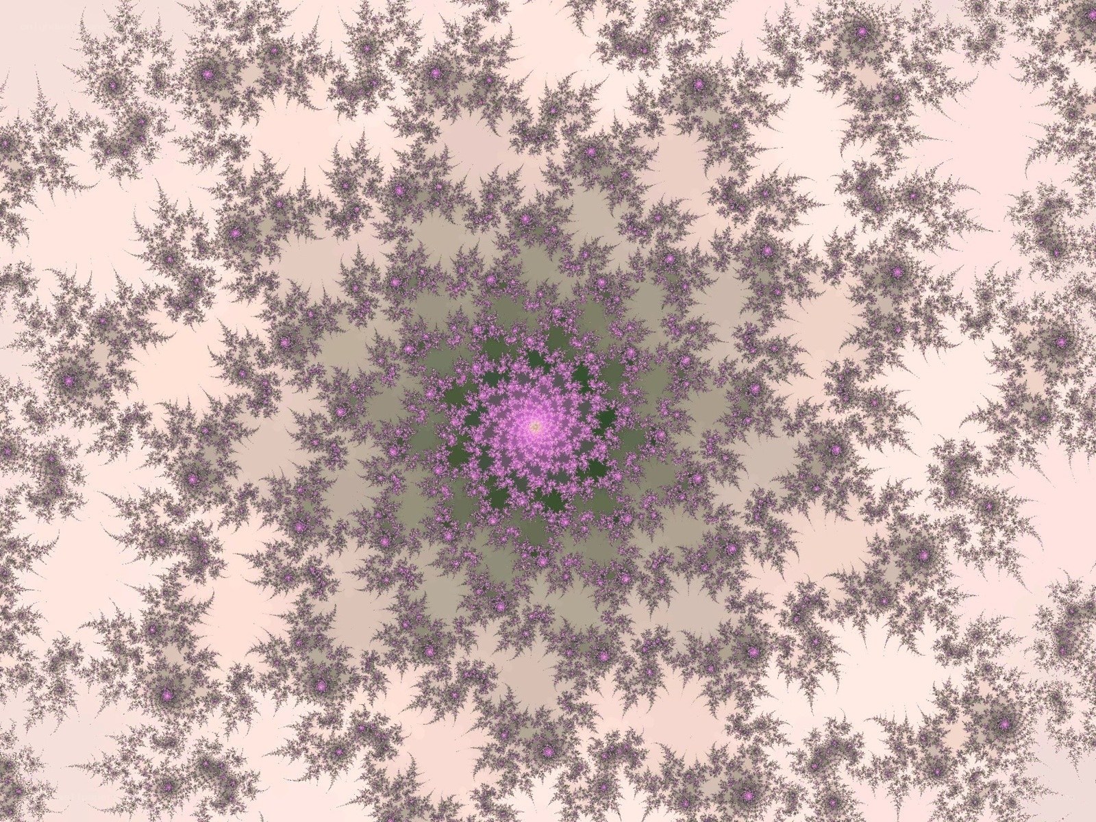 purple fractal spiral pattern