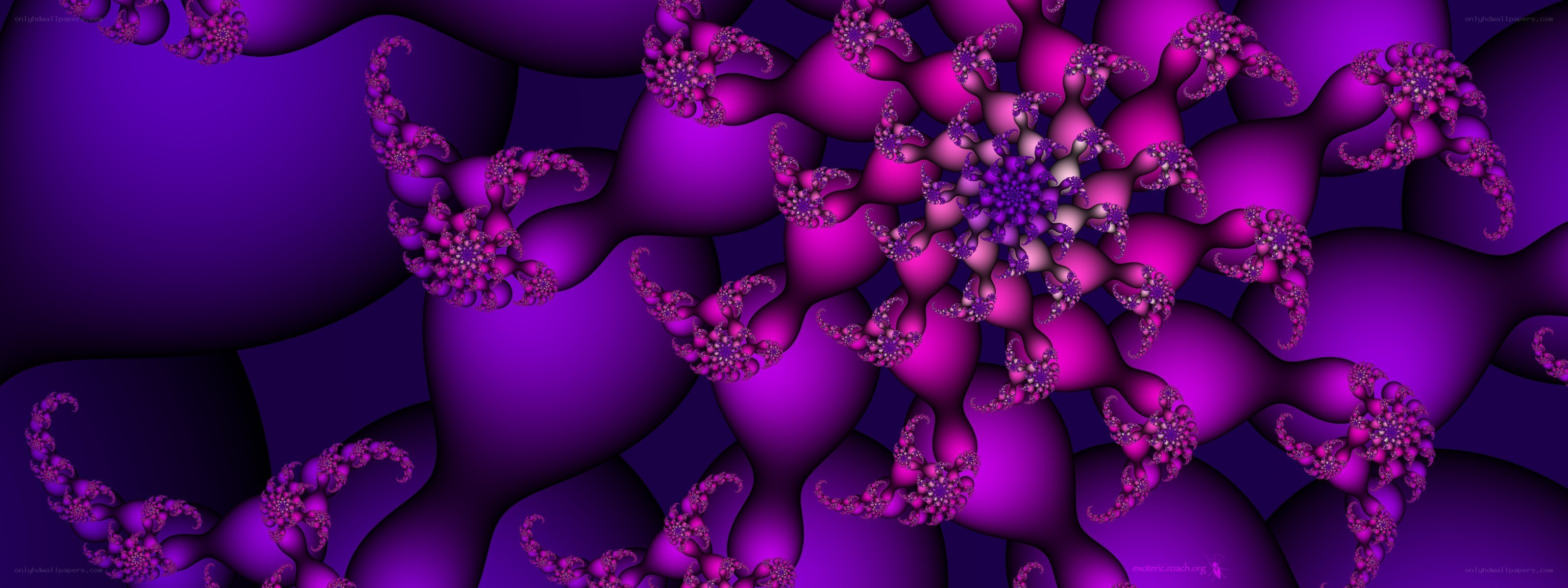 purple fractal spiral pattern